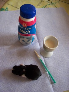 2011.07.10 Hasis 210